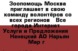 Зоопомощь.Москва приглашает в свою команду волонтёров со всех регионов - Все города Интернет » Услуги и Предложения   . Ненецкий АО,Нарьян-Мар г.